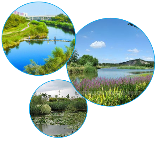 人工濕地技術(shù)