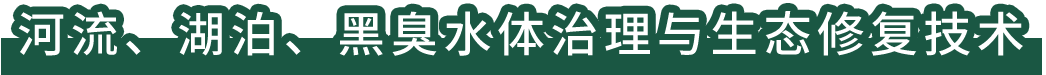 河流、湖泊、黑臭水體治理與生態(tài)修復(fù)技術(shù)