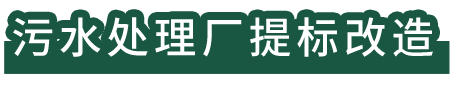 污水處理廠提標(biāo)改造