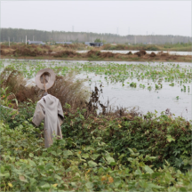 無害化處理技術(shù)