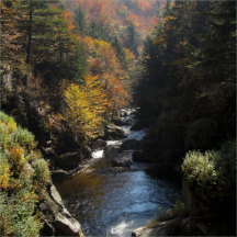 氮磷削減技術(shù)