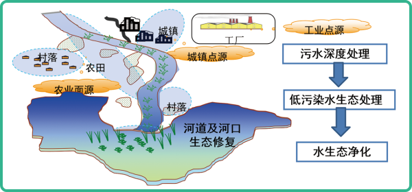 人工濕地，人工濕地建設(shè)