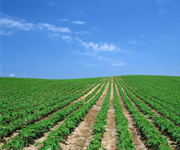 東風吹戰(zhàn)鼓擂！ 第三方檢測掌舵萬億土壤修復江湖