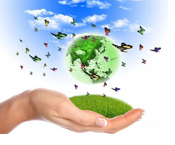 中國(guó)環(huán)境監(jiān)測(cè)行業(yè)將進(jìn)入怎樣的“新常態(tài)”？