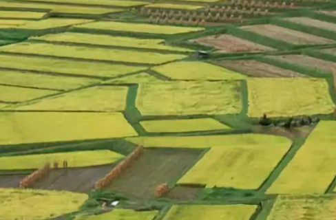 華清環(huán)境：如何治理農(nóng)田土壤中重金屬污染？