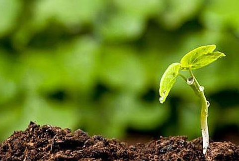 華清環(huán)境：修復(fù)被污染土壤要多長時間？