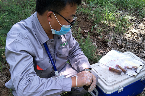 冬季土壤修復技術有哪些？