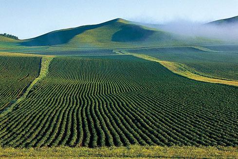 研讀土壤修復行業(yè)發(fā)展報告（咨詢篇）、（工程篇）