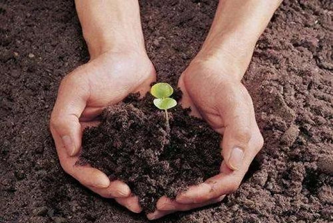 近日，天津市生態(tài)環(huán)境局印發(fā)《天津市土壤污染重點(diǎn)監(jiān)管單位周邊土壤及地下水環(huán)境監(jiān)測(cè)技術(shù)指南》（試行）