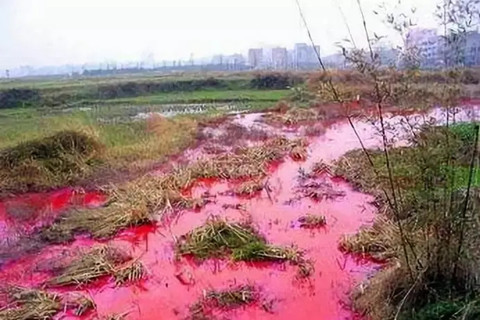 土壤重金屬檢測的幾種常規(guī)方法