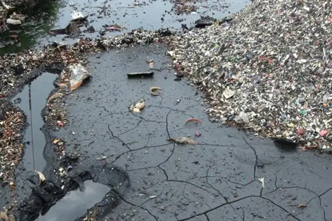 土壤污染狀況調(diào)查方法有哪些？