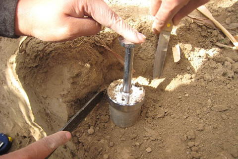 土壤調(diào)查的內(nèi)容有哪些？