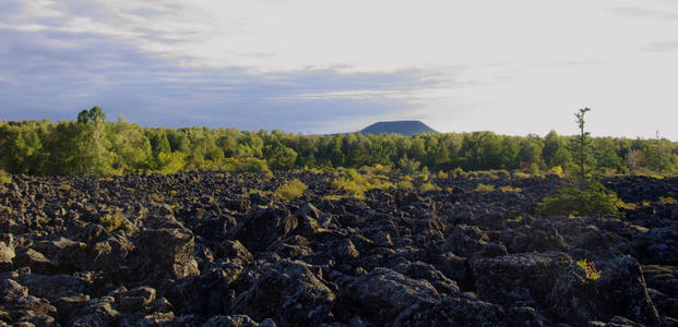 重金屬污染微生物土壤修復(fù) 重金屬污染微生物土壤修復(fù)