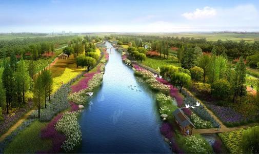 生態(tài)修復(fù)技術(shù) 生態(tài)修復(fù)技術(shù)