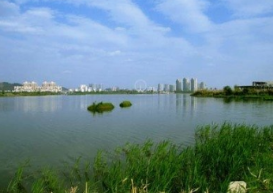 農(nóng)村生活污水治理——穩(wěn)定塘處理技術(shù) 農(nóng)村生活污水治理——穩(wěn)定塘處理技術(shù)