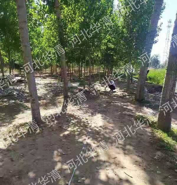 1625564793399077.png 圖片11.png