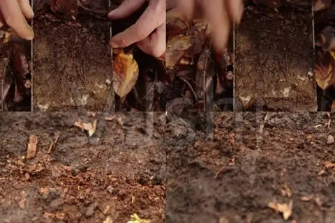 土壤污染調(diào)查 土壤污染調(diào)查