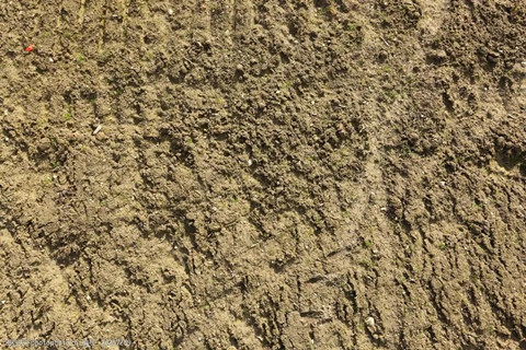 <a href=http://m.suijizhou.com.cn/turangjiance.html>土壤檢測(cè)</a> 土壤檢測(cè)