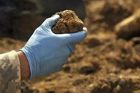 <a href=http://m.suijizhou.com.cn/turangjiance.html>土壤檢測</a>.jpg 土壤檢測.jpg